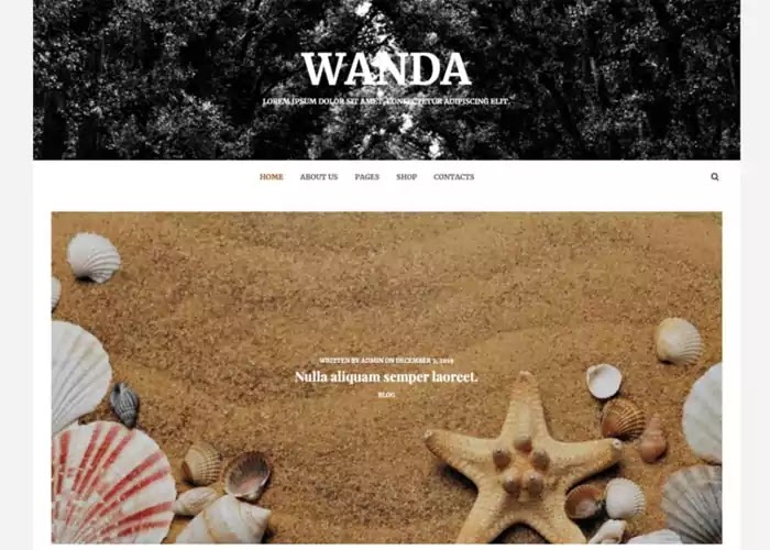Wanda Lite blogging theme 