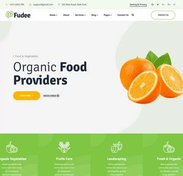 Fudee Organic Food WordPress Theme 
