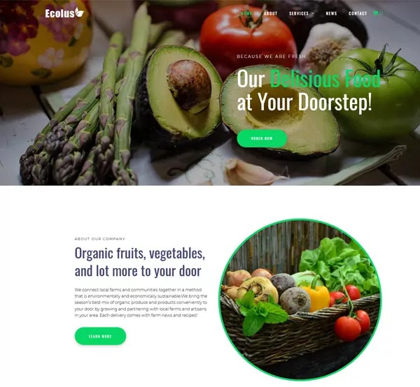 Ecolus Organic Food WordPress Elementor Theme