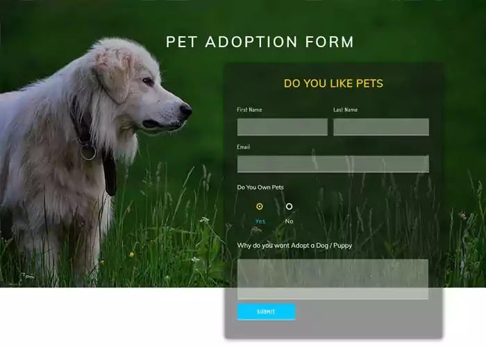 Pet Adoption Form