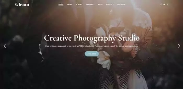 Gleam photography WordPress theme