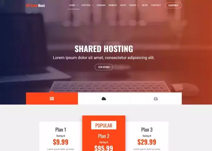 ColorHost web hosting theme